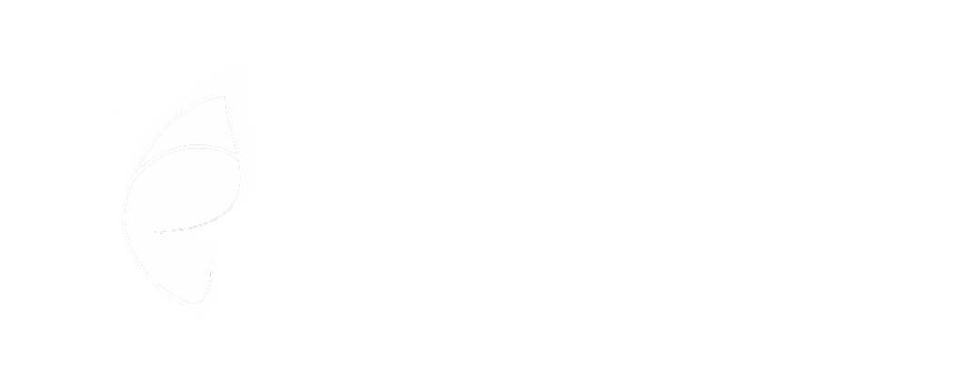 julianaakram.com